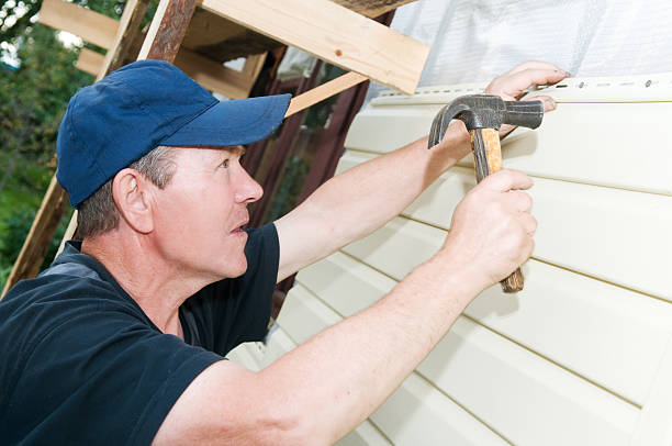 Best Historical Building Siding Restoration  in South Boston, VA