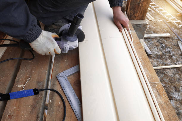 Best Insulated Siding Installation  in South Boston, VA